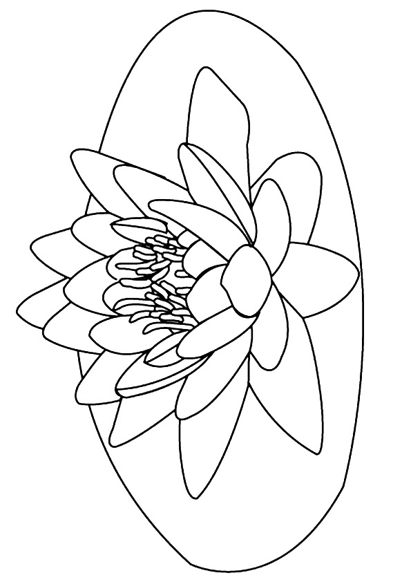 Plansa de colorat cu Liliac 38 32